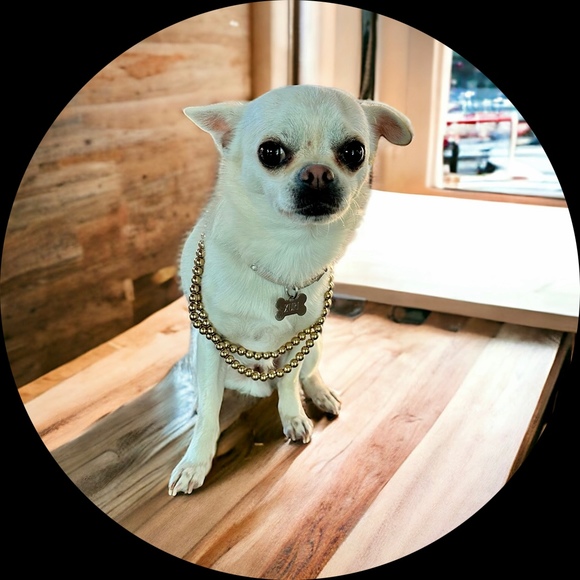 frenchjewels90s